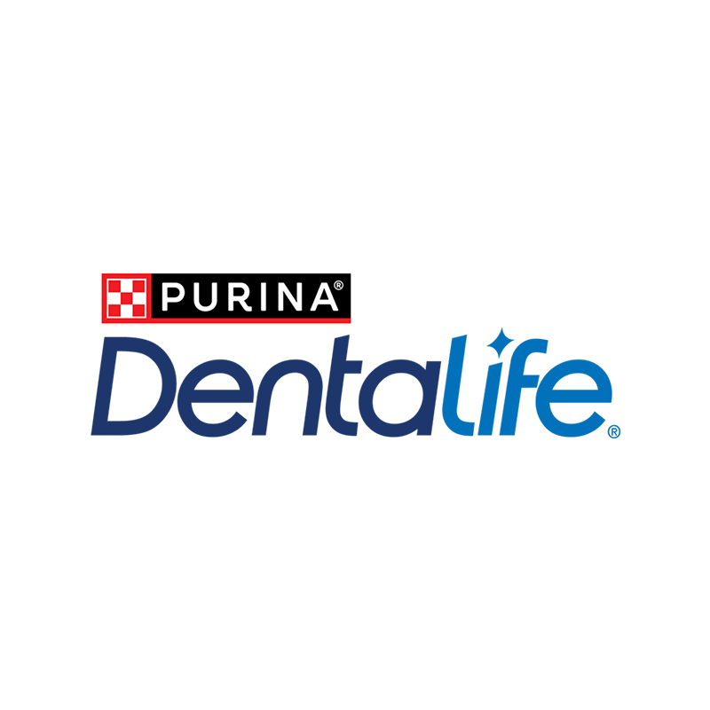 Dentalife