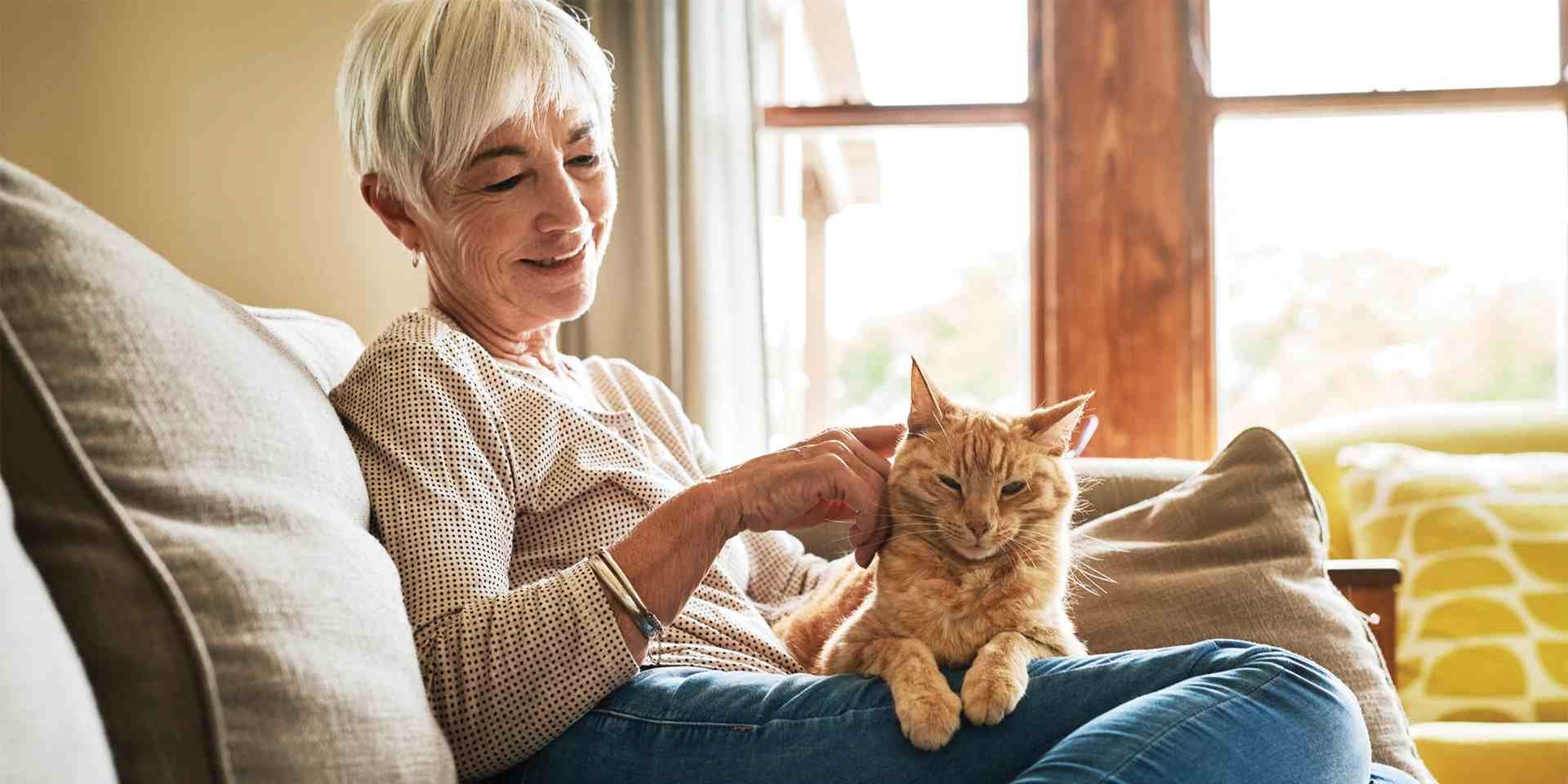 Alimento para gatos con problemas renales. Tutora y gato senior. 
