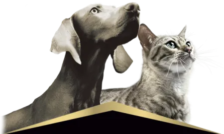 Pro-Plan-veterinary-diets%20%282%29.png.webp?itok=DyHxVa1I Pro-Plan-veterinary-diets%20%282%29.png.webp?itok=DyHxVa1I