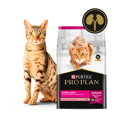 Purina%C2%AE-Proplan%C2%AE-Optirenal.png.webp?itok=G7HqQAsr