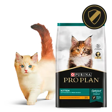 Purina%C2%AE-Proplan%C2%AE-Optistar.png.webp?itok=cQFzSzNB