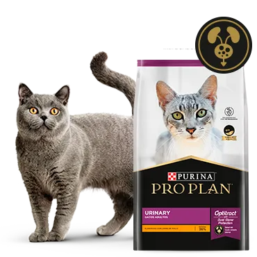 Purina%C2%AE-Proplan%C2%AE-Optritact.png.webp?itok=lFOPZdX8