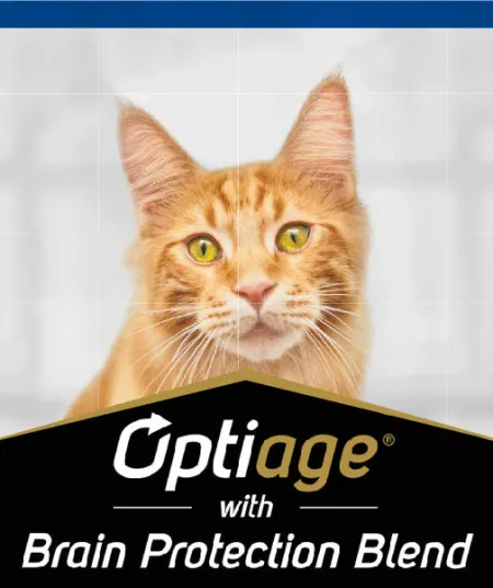 optiage_gato_pro_plan.jpg.webp?itok=arwGT6i5 optiage_gato_pro_plan.jpg.webp?itok=arwGT6i5