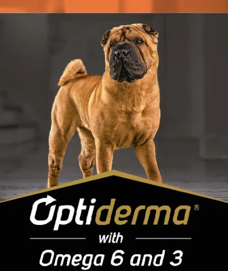 optiderma_perros_pro_plan.jpg.webp?itok=AfoKZsJ7 optiderma_perros_pro_plan.jpg.webp?itok=AfoKZsJ7