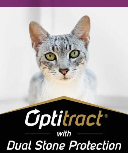optitract_gato_pro_plan.jpg.webp?itok=MxlgxnKr optitract_gato_pro_plan.jpg.webp?itok=MxlgxnKr