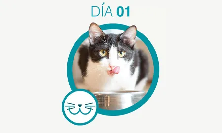 One-Cambios-dia-01_0.png.webp?itok=_brn7WGc One-Cambios-dia-01_0.png.webp?itok=_brn7WGc