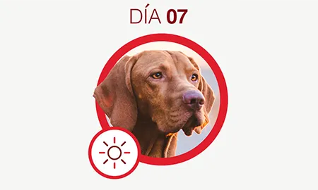 One-Cambios-dia-07.png.webp?itok=jSYZRZp8 One-Cambios-dia-07.png.webp?itok=jSYZRZp8