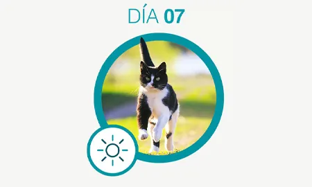 One-Cambios-dia-07_0.png.webp?itok=mXPD1rxR One-Cambios-dia-07_0.png.webp?itok=mXPD1rxR