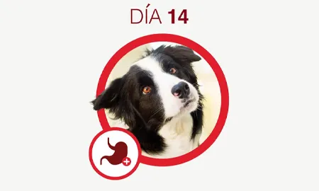One-Cambios-dia-14.png.webp?itok=jhwuijlv One-Cambios-dia-14.png.webp?itok=jhwuijlv