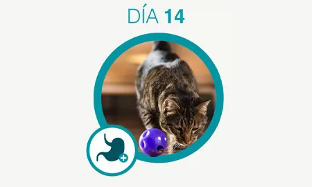 One-Cambios-dia-14_0.png.webp?itok=7FNLha3H One-Cambios-dia-14_0.png.webp?itok=7FNLha3H