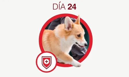 One-Cambios-dia-24.png.webp?itok=SQXWpDHc One-Cambios-dia-24.png.webp?itok=SQXWpDHc