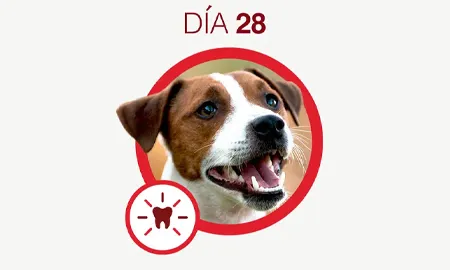One-Cambios-dia-28.png.webp?itok=B0et6xSV One-Cambios-dia-28.png.webp?itok=B0et6xSV