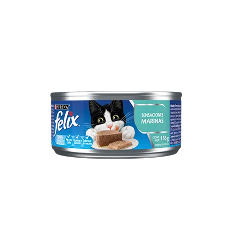 Purina-Felix-sensaciones-marinas%20%281%29.png.webp?itok=1ZCYyDmH Purina-Felix-sensaciones-marinas%20%281%29.png.webp?itok=1ZCYyDmH