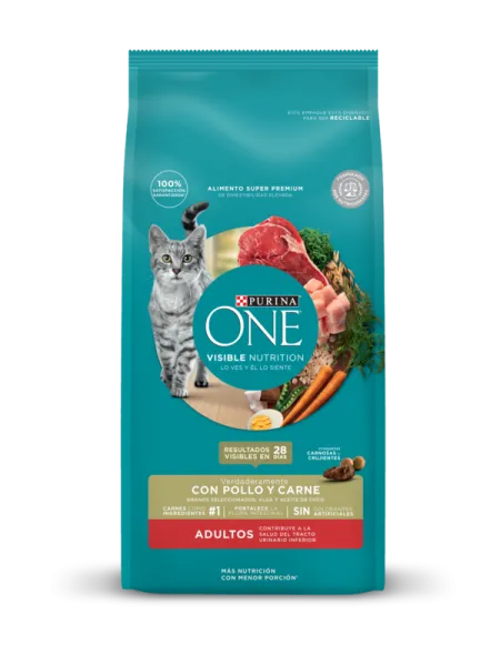 adultos_pollo_carne_one.png.webp?itok=Vb09LpW8 adultos_pollo_carne_one.png.webp?itok=Vb09LpW8
