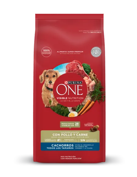 cachorro_carne_one.png.webp?itok=VFcYGmB4 cachorro_carne_one.png.webp?itok=VFcYGmB4