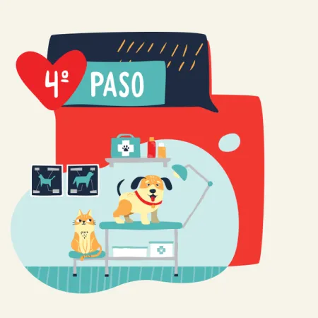 purina-adopta-4to-paso.png.webp?itok=ZURWmhzZ