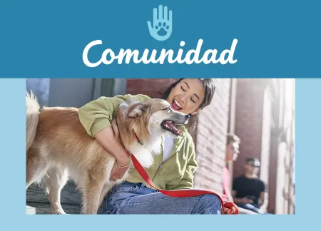 purina-img-community.jpg.webp?itok=FBSqBy4b purina-img-community.jpg.webp?itok=FBSqBy4b