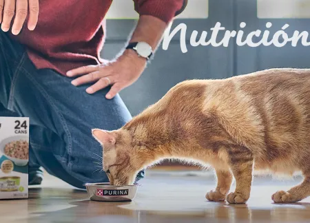 purina-img-cuidados-nutricion.jpg.webp?itok=O-7kA-rK purina-img-cuidados-nutricion.jpg.webp?itok=O-7kA-rK