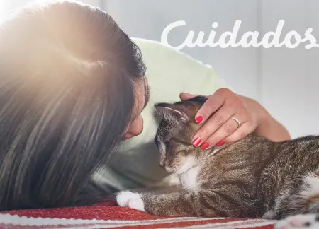 purina-img-cuidados.jpg.webp?itok=dGlD9zP6 purina-img-cuidados.jpg.webp?itok=dGlD9zP6