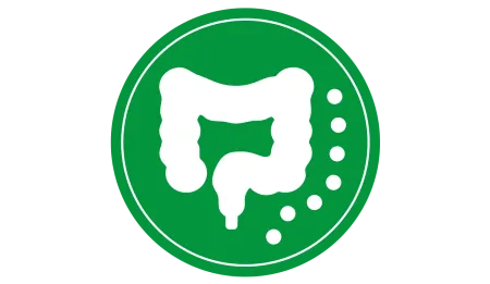 1_Flora_intestinal.png.webp?itok=sXJf6qAh 1_Flora_intestinal.png.webp?itok=sXJf6qAh