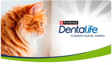 Purina Dentalife Perú