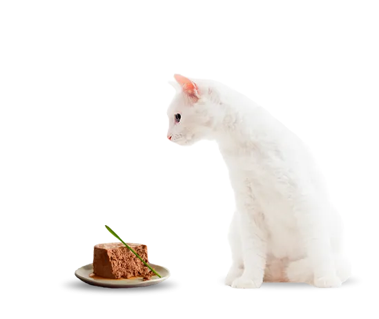 purina-fancy-feast-gato.png