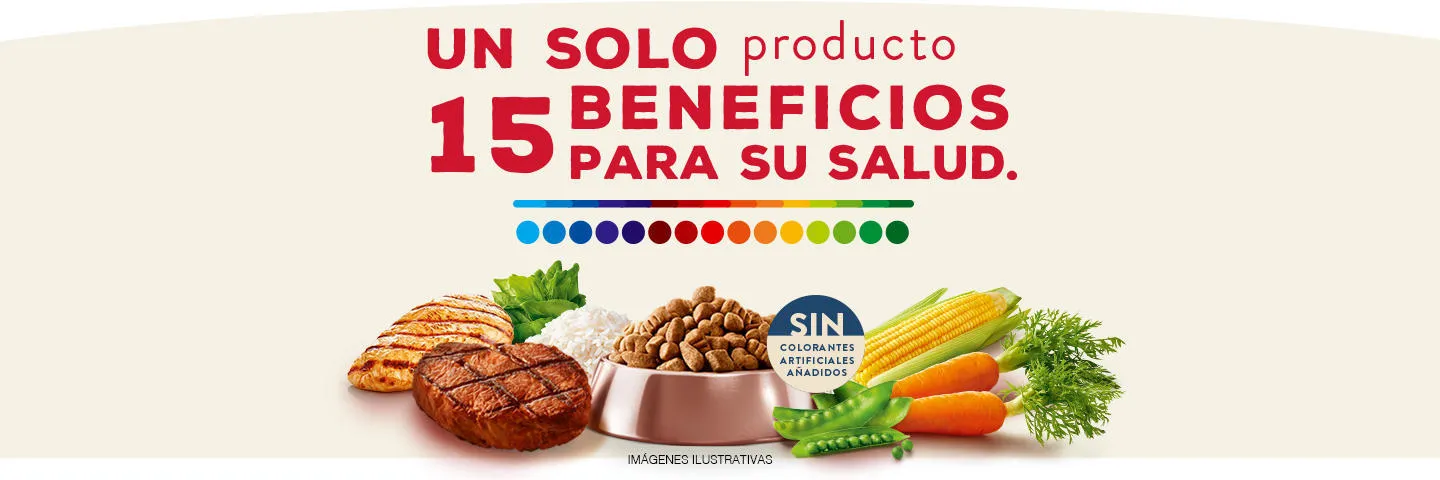 purina-campeón-15-beneficios.jpg