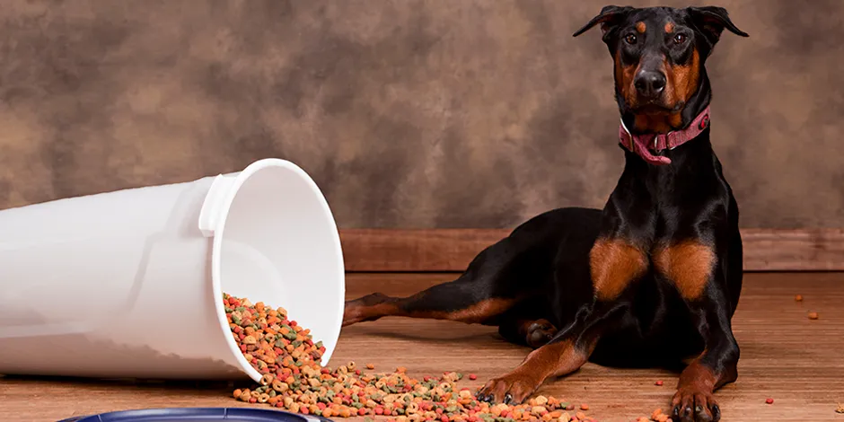 DOBERMAN 940X470 7 ALIMENTO.png