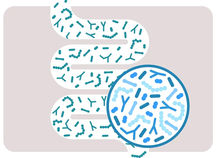 purina-one-image-card-microbiota-intestinal.png