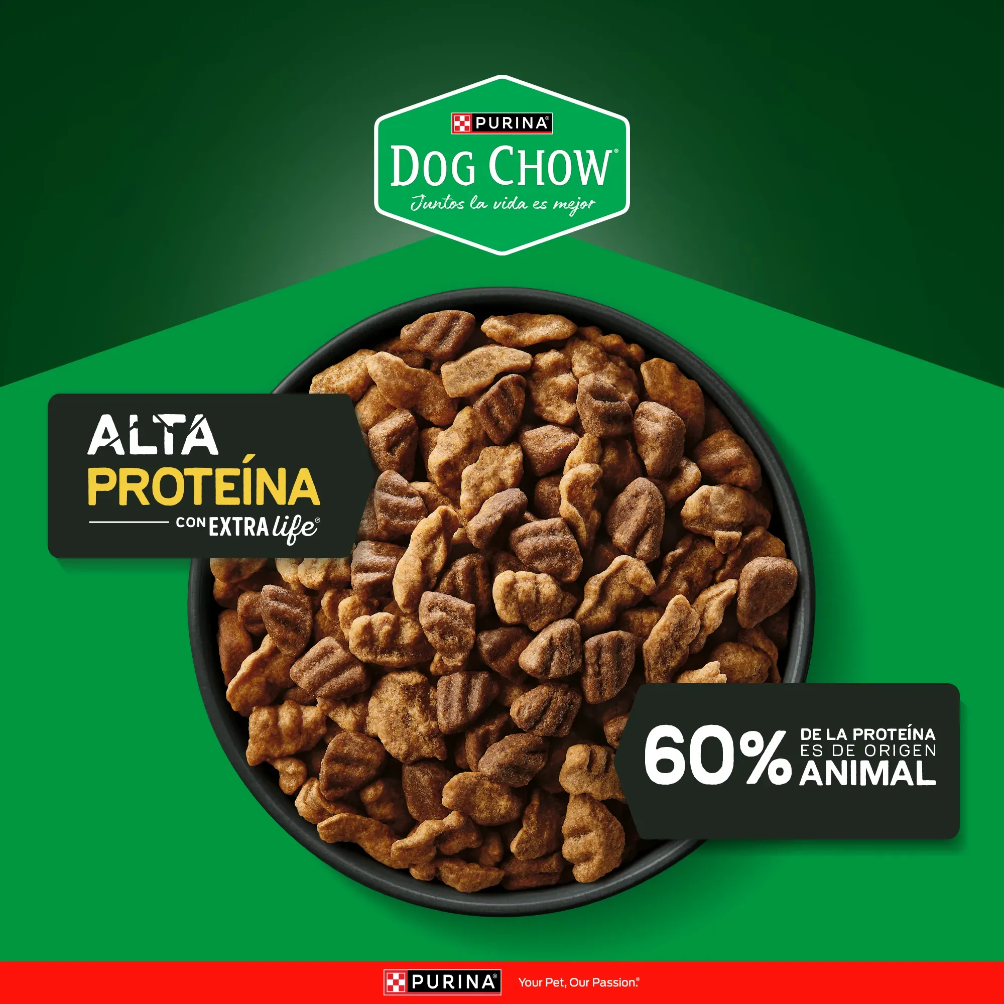 Alimento para perro Dog Chow Alta Proteína, alimento para perros adultos con carne, pollo y huevo.